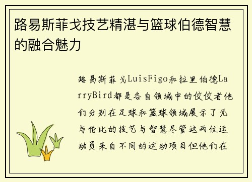 路易斯菲戈技艺精湛与篮球伯德智慧的融合魅力